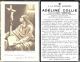 Adeline COLLIE.jpg